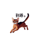 ドット絵 アビシニアン ルディ レッド 猫（個別スタンプ：36）