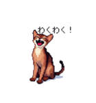 ドット絵 アビシニアン ルディ レッド 猫（個別スタンプ：39）