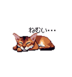 ドット絵 アビシニアン ルディ レッド 猫（個別スタンプ：40）