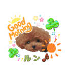 ミミちゃんの日常その1（個別スタンプ：1）