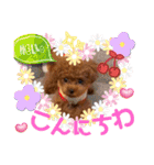 ミミちゃんの日常その1（個別スタンプ：2）