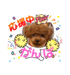 ミミちゃんの日常その1（個別スタンプ：4）