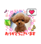 ミミちゃんの日常その1（個別スタンプ：6）