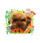ミミちゃんの日常その1（個別スタンプ：7）
