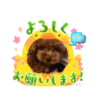 ミミちゃんの日常その1（個別スタンプ：10）