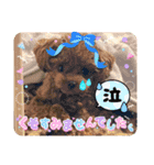ミミちゃんの日常その1（個別スタンプ：11）