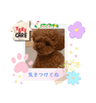 ミミちゃんの日常その1（個別スタンプ：13）