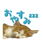 みりんとかりん ver.4.0（個別スタンプ：2）