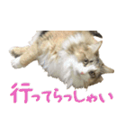 みりんとかりん ver.4.0（個別スタンプ：3）
