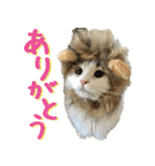みりんとかりん ver.4.0（個別スタンプ：5）