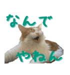 みりんとかりん ver.4.0（個別スタンプ：11）