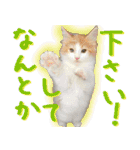 みりんとかりん ver.4.0（個別スタンプ：12）