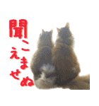 みりんとかりん ver.4.0（個別スタンプ：14）