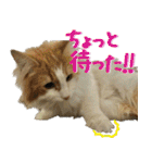 みりんとかりん ver.4.0（個別スタンプ：17）