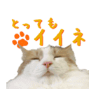 みりんとかりん ver.4.0（個別スタンプ：18）