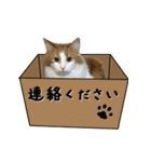 みりんとかりん ver.4.0（個別スタンプ：19）
