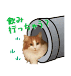 みりんとかりん ver.4.0（個別スタンプ：24）