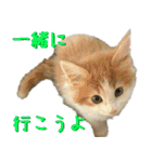 みりんとかりん ver.4.0（個別スタンプ：26）
