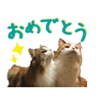 みりんとかりん ver.4.0（個別スタンプ：33）