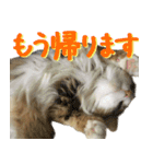 みりんとかりん ver.4.0（個別スタンプ：35）