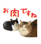 みりんとかりん ver.4.0（個別スタンプ：40）
