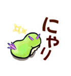 ウミウシ…デカ文字・the sea slugs（個別スタンプ：16）