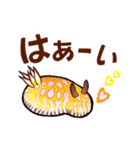 ウミウシ…デカ文字・the sea slugs（個別スタンプ：25）