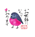 カラフル野鳥の絵手紙風スタンプ（個別スタンプ：1）