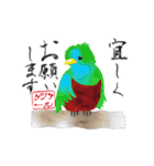 カラフル野鳥の絵手紙風スタンプ（個別スタンプ：8）