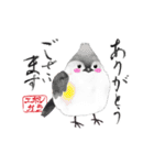 カラフル野鳥の絵手紙風スタンプ（個別スタンプ：12）