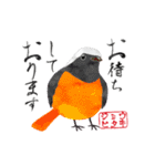 カラフル野鳥の絵手紙風スタンプ（個別スタンプ：13）