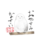 カラフル野鳥の絵手紙風スタンプ（個別スタンプ：17）