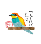 カラフル野鳥の絵手紙風スタンプ（個別スタンプ：20）