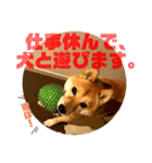 遊びたい梅犬スタンプ（個別スタンプ：3）