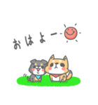 柴犬ポンと小さき者チビ（個別スタンプ：1）