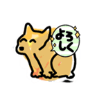 ばあちゃんちの犬（個別スタンプ：5）