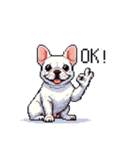 日常 ドット絵 フレンチブルドッグ 40種（個別スタンプ：3）