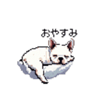 日常 ドット絵 フレンチブルドッグ 40種（個別スタンプ：21）