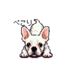 日常 ドット絵 フレンチブルドッグ 40種（個別スタンプ：27）