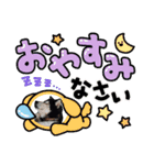 黒柴 RIN♪＆白柴 RAN♪（個別スタンプ：6）