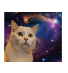 宇宙猫-Space Cat-（個別スタンプ：2）
