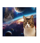 宇宙猫-Space Cat-（個別スタンプ：4）