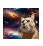 宇宙猫-Space Cat-（個別スタンプ：5）