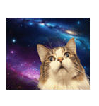 宇宙猫-Space Cat-（個別スタンプ：6）