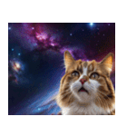 宇宙猫-Space Cat-（個別スタンプ：13）