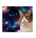 宇宙猫-Space Cat-（個別スタンプ：16）