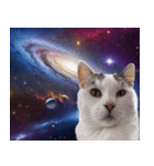 宇宙猫-Space Cat-（個別スタンプ：17）