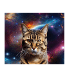 宇宙猫-Space Cat-（個別スタンプ：18）