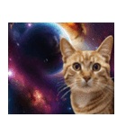 宇宙猫-Space Cat-（個別スタンプ：19）
