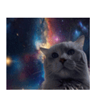 宇宙猫-Space Cat-（個別スタンプ：25）